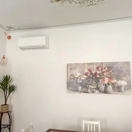 Oasis In The Centre Of * Bolonha