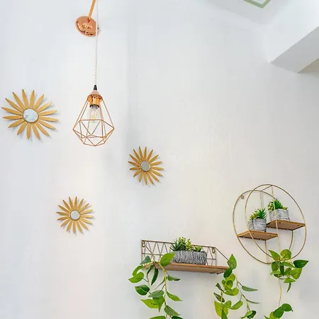 Oasis In The Centre Of Bolonia