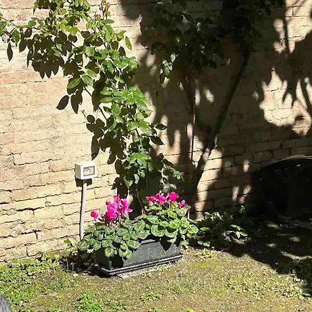 公寓 Oasis In The Center With Garden By Synergy Up To 5 Guests *