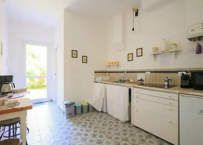 Oasis In The Centre Of