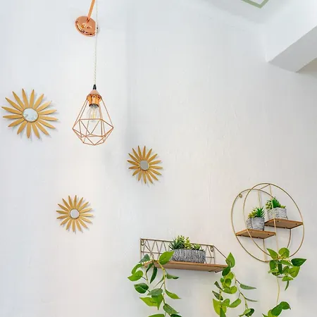 Oasis In The Center With Garden By Synergy Up To 5 Guests Apartment Bologna